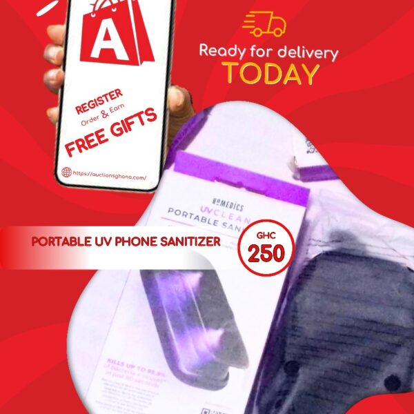 Portable UV light sanitizer